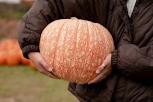 3 Fall Activities You Can Drive to Near Lincolnwood, IL